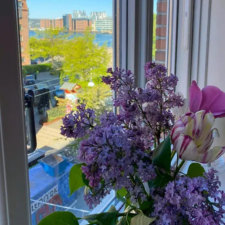 Flat With Water View On Islands Brygge * 哥本哈根