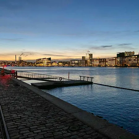 Flat With Water View On Islands Brygge * 哥本哈根